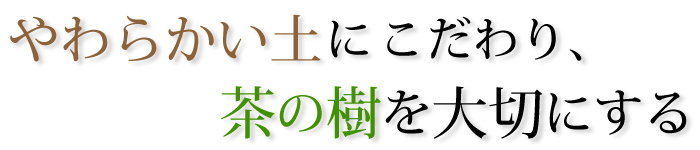 やわらかい土にこだわり、茶の樹を大切にする