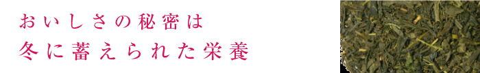 おいしい理由その２