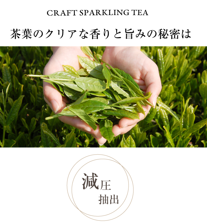 減圧抽出