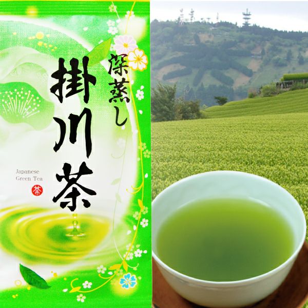 2024年度産 深蒸し茶 掛川茶100g お茶 茶葉 静岡茶 煎茶 深むし茶 緑茶 ポスト投函便送料無料 お茶通販の長峰製茶